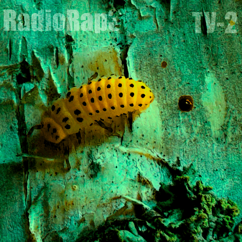 Release Cover