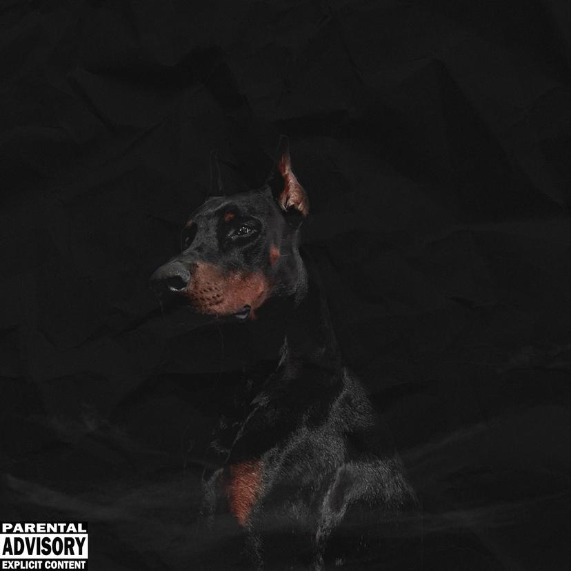 Release Cover