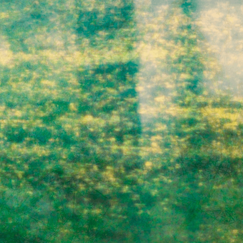 Release Cover