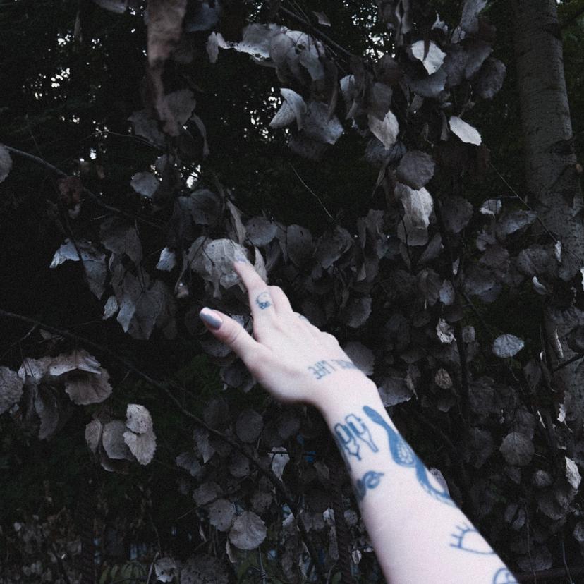 Release Cover