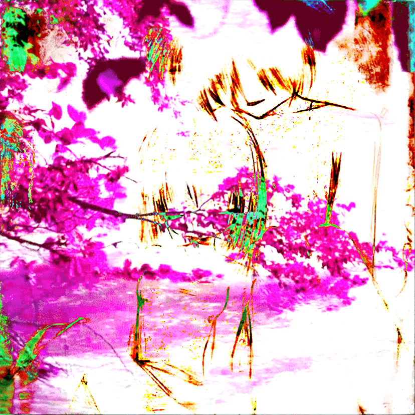 Release Cover