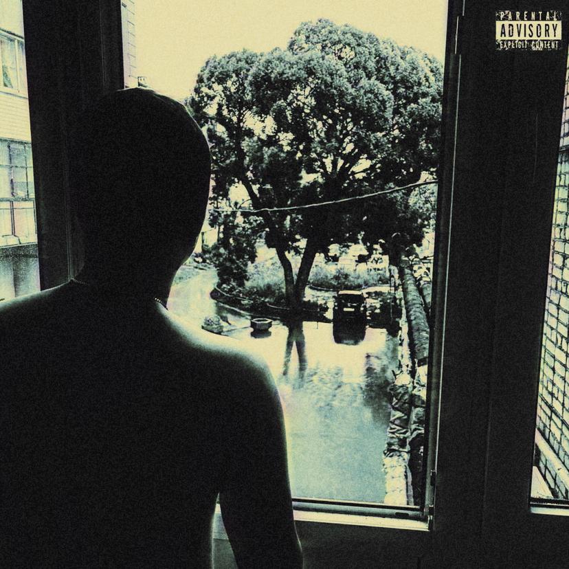 Release Cover