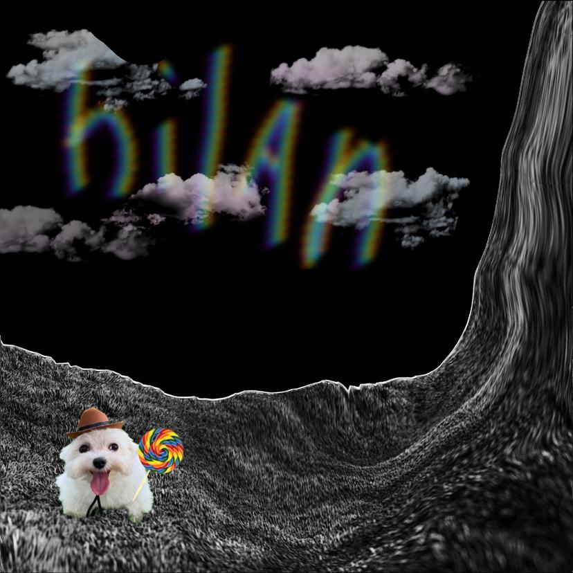 Release Cover