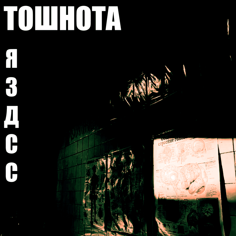 Release Cover