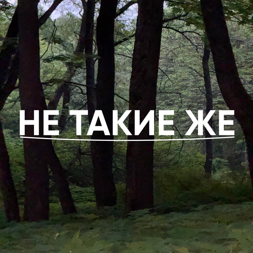Release Cover