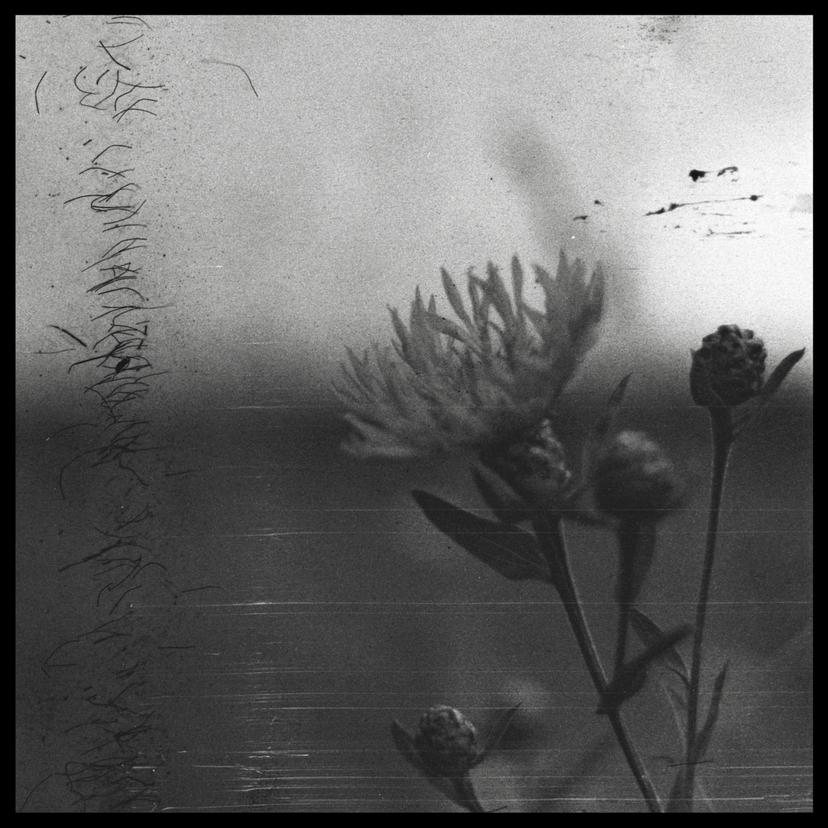 Release Cover