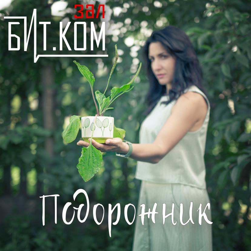 Release Cover