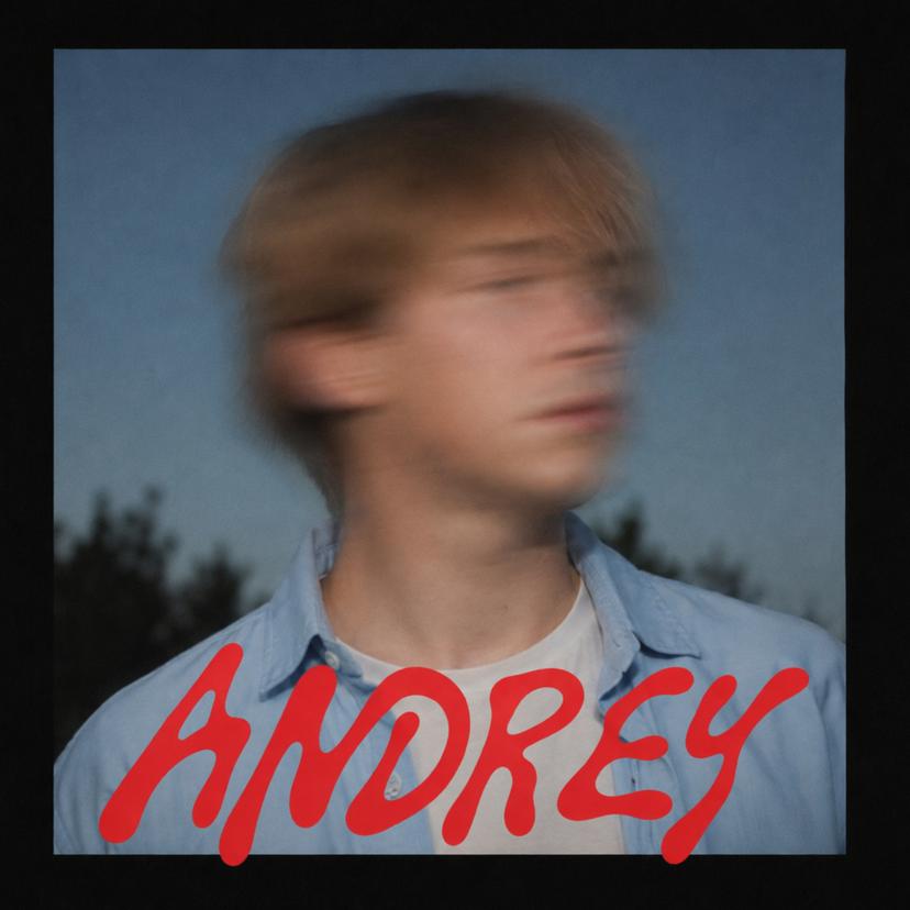 Release Cover