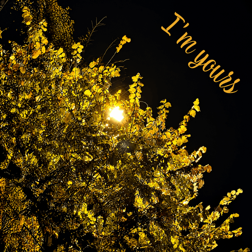 Release Cover