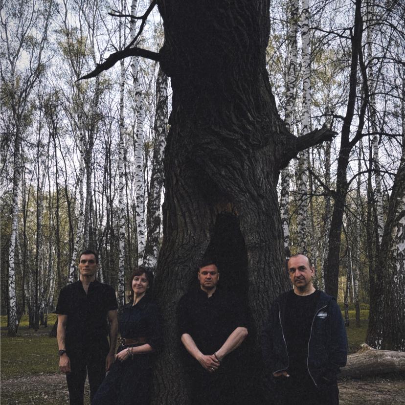 Release Cover