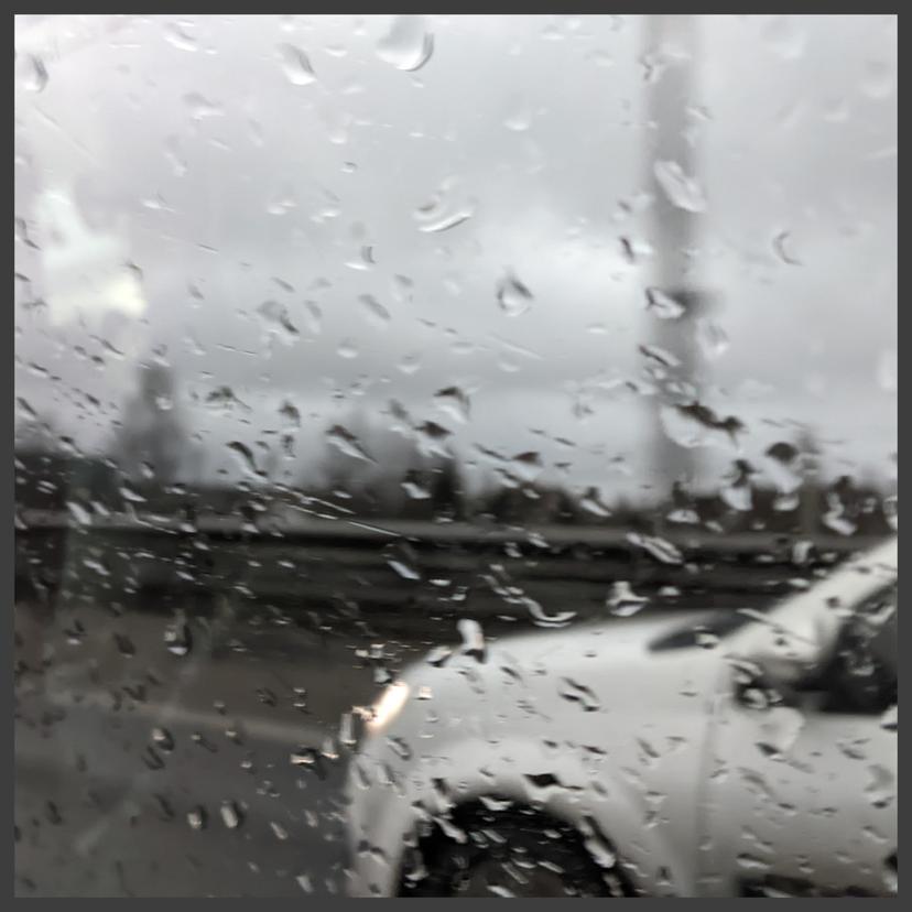 Release Cover