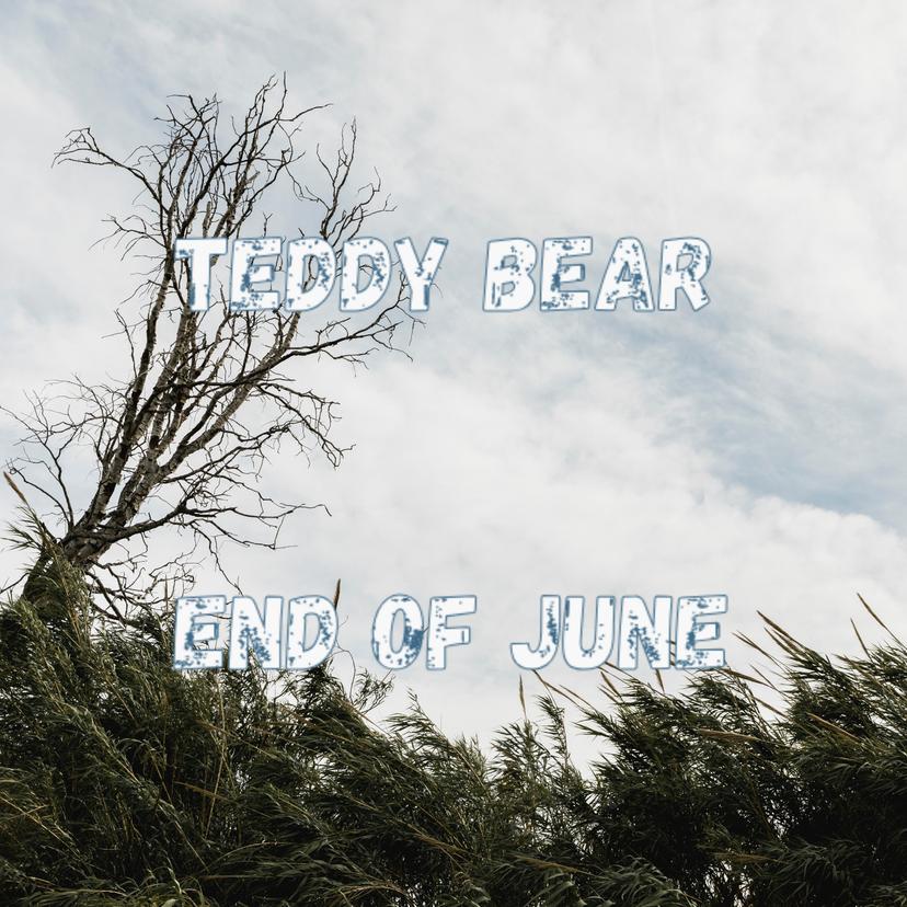 Release Cover