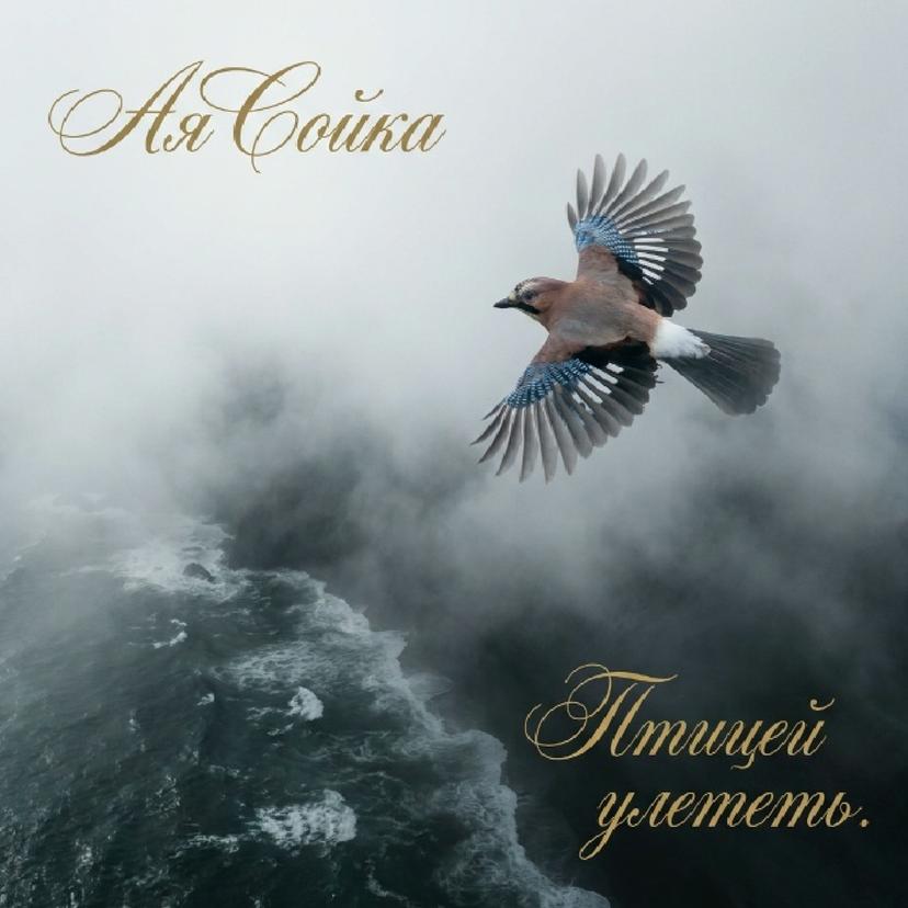 Release Cover