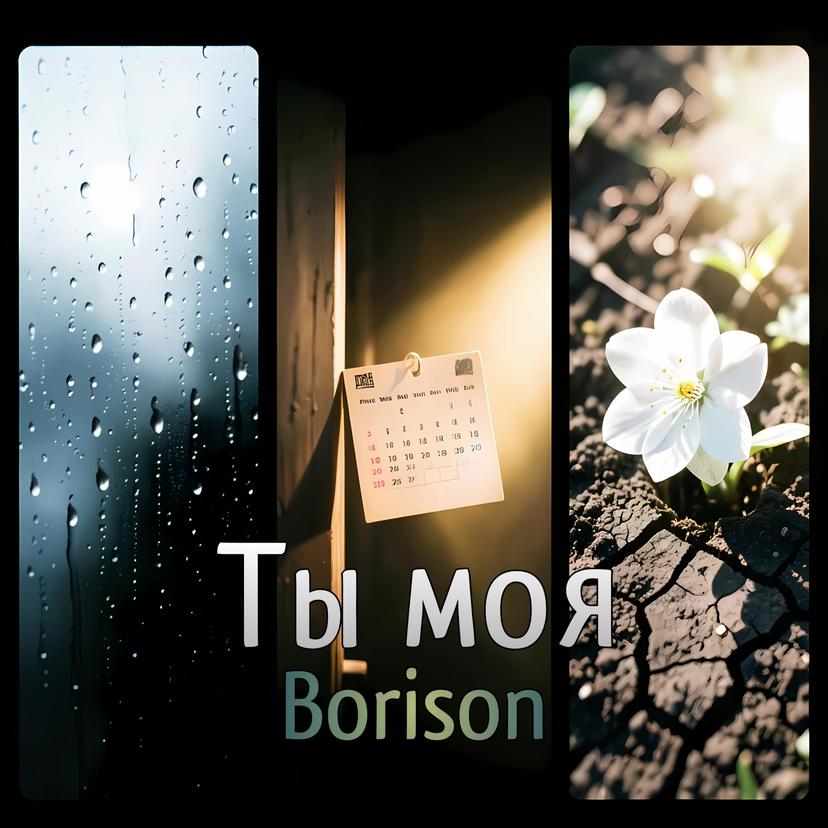 Release Cover