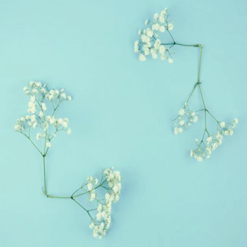 Release Cover