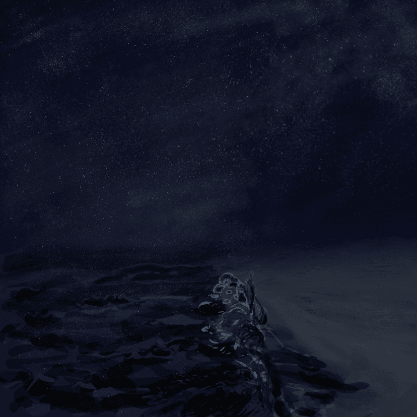 Release Cover