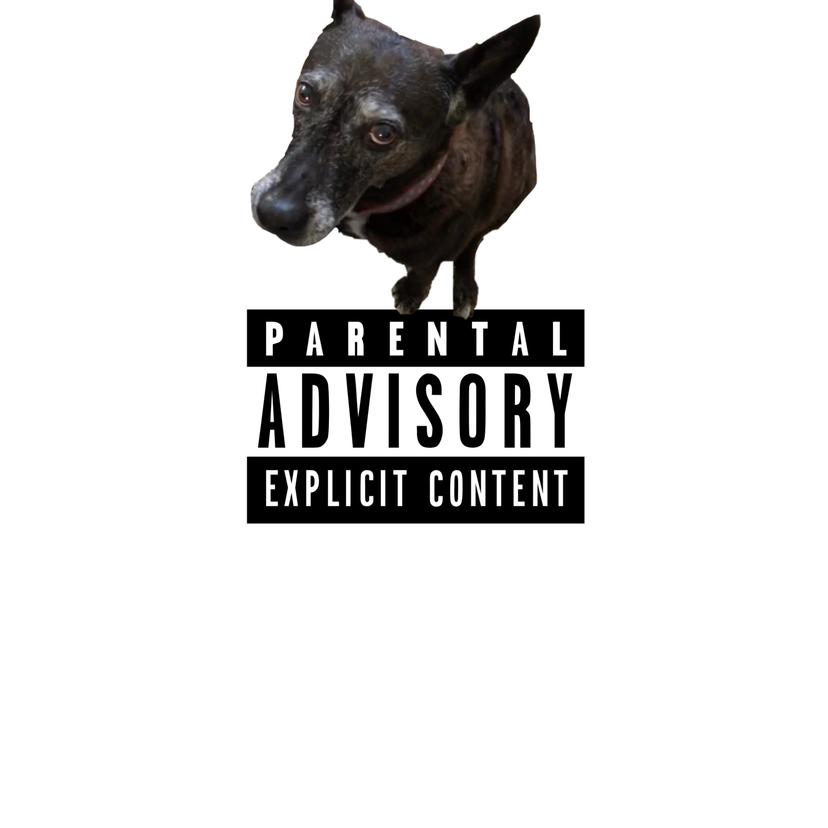 Release Cover