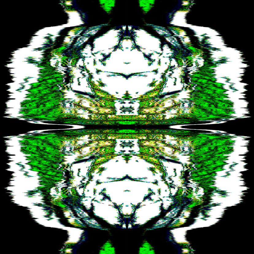 Release Cover