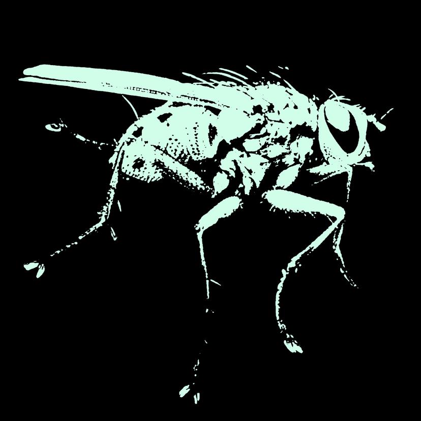 Release Cover