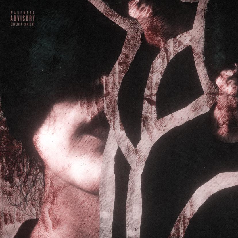 Release Cover